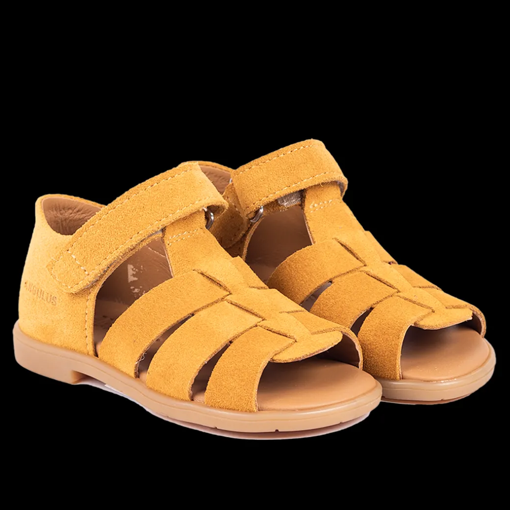 Begynder Sandal Med åben Tå Og Velcrolukning